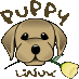 Puppy Linux Home - your fast, small and free Linux distro
