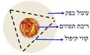 קיפול בצק אוזן המן